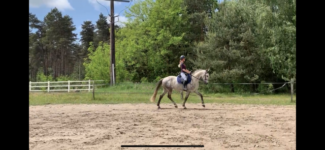 Enseignante d’équitation Oise 