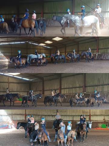 Stage équestre dans une ferme familiale 