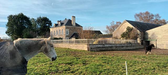 Très jolie propriété équestre sur 5ha