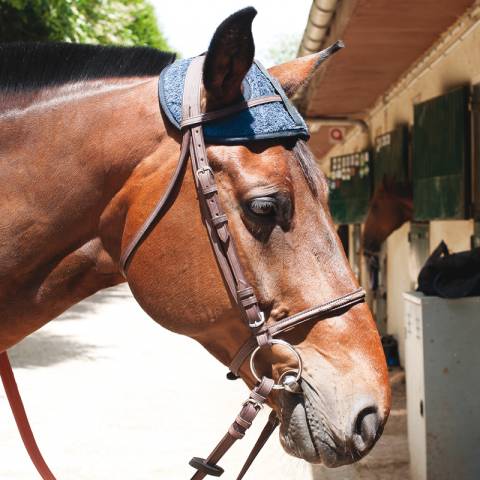 Bonnet de chaleur Petitpas