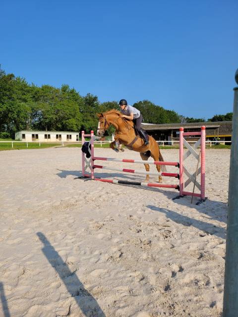 Deviens moniteur d’équitation avec UCPA FORMATION