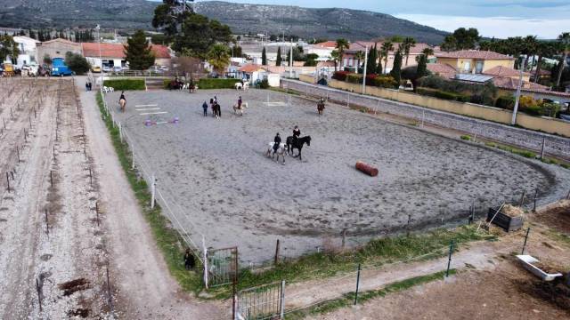 Pension boxes et paddocks - Le clos de la licorne 34110 Vic la gardiole