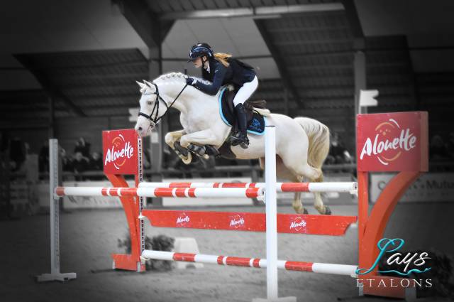 Cremell'aux Lays saillie étalon Poney français de selle