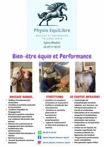 Massage et préparation physique équin 