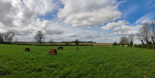 Pension paddock paradise