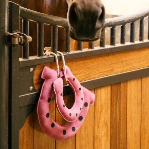 Jouet de box Fer à cheval Buddy Horseshoes - Imperial Riding