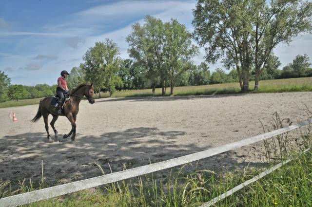 PENSION CHEVAUX DANS CADRE MAGNIFIQUE !!