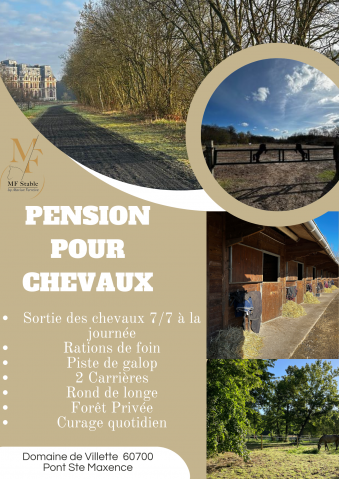 Pension pour chevaux - MF Stable (60700)