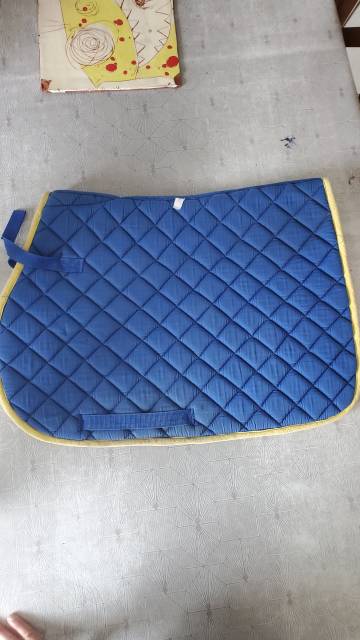 Tapis pour cheval bleu roi et jaune