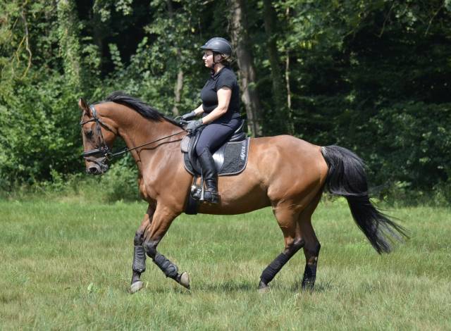 Monitrice d'équitation diplômée