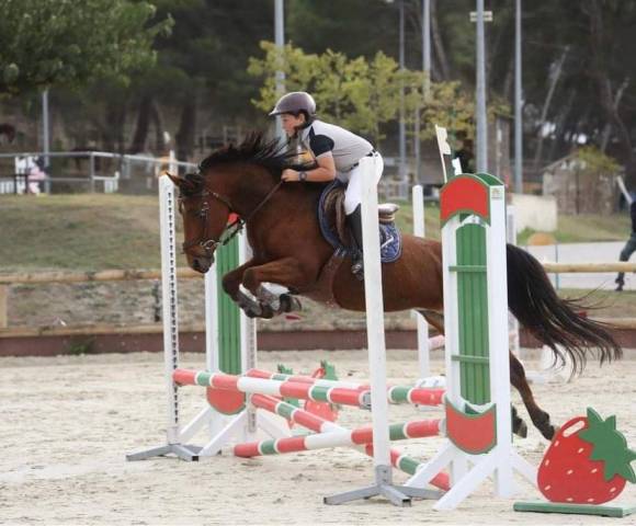 Ponette cso 