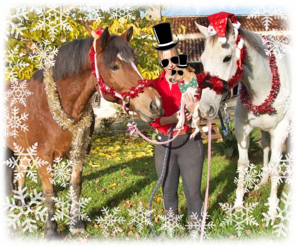 La méthode équine impériale vous présente les chevaux..