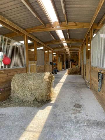 Pension box/paddock - Écurie de Mercelo (14 - Tortisambert)