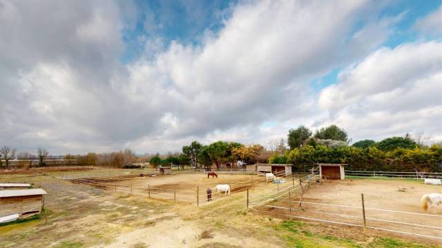 Propriété équestre de 3,5 hectares à Béziers (34)