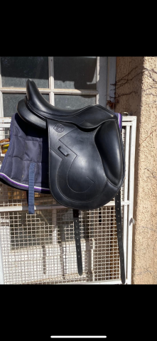 Selle de dressage 