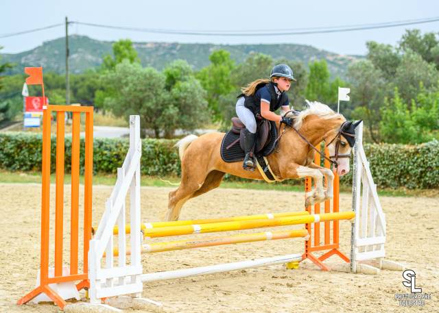 Ponette de sport moyens pelite à vendre 