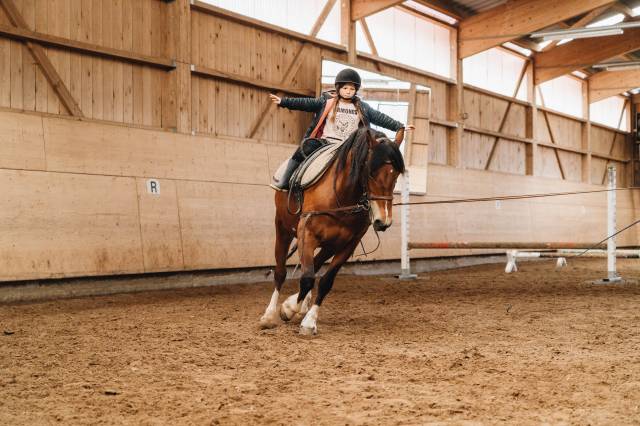 Camps d'équitation automne 2024