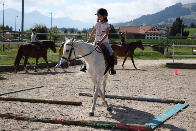 Camps d'équitation pâques 2026