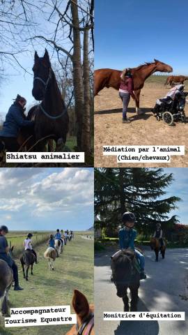 Shiatsu/ Médiation par l'animal/ Monitrice d'équitation