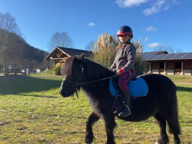 Poney de famille 