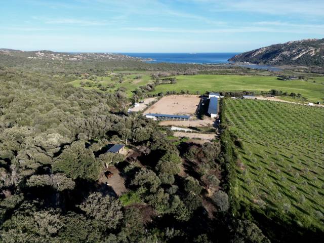 CORSE SUD - EXCEPTIONNELLE PRORPIÉTÉ ÉQUESTRE - VUE MER