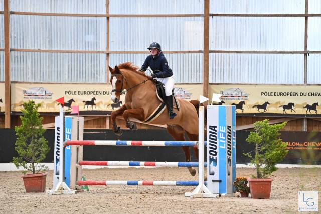 Cheval a vendre gagnant des clubs élites