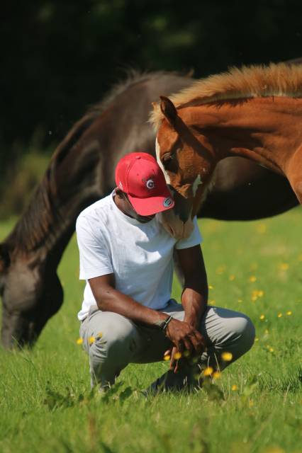 NURSERY EQUINE : Centre d'insémination numéro 1