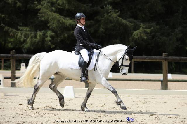 Top ponette de complet