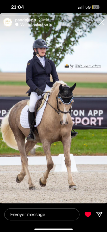 À vendre poney de dressage pour as élite GP