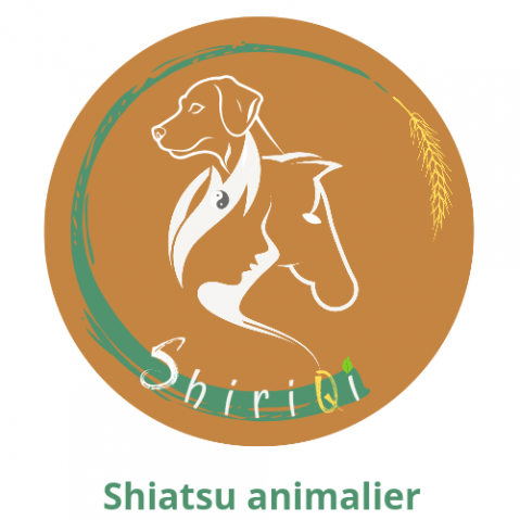 Shiatsu équin et canin 