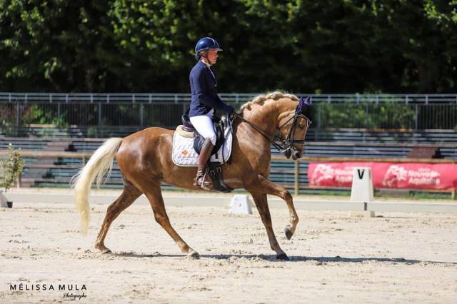 Ponette à prendre en pension pour épreuve As