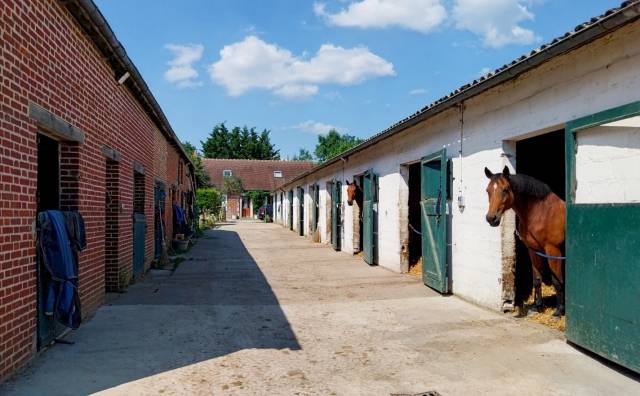 Ecurie de valorisation ou sport au pied du Haras du Pin