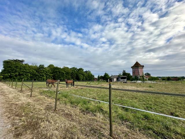 Pension pré chevaux avec abris (16 & 17)