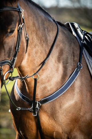 Collier de chasse élastique avec martingale noir / marine HFI