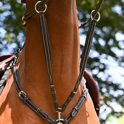 Martingale de collier Wednesday et Crystal