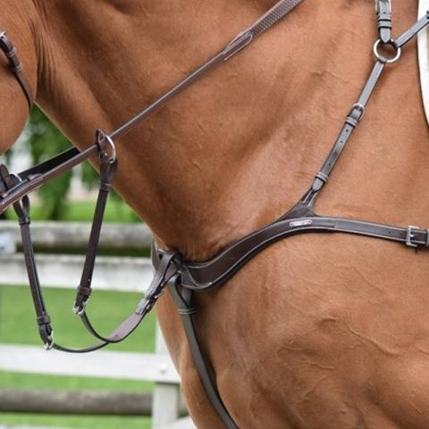 Collier de chasse cinq points et martingale - Jump'in