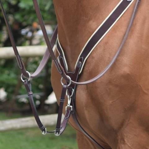 Collier de chasse élastique et martingale - Jump'in