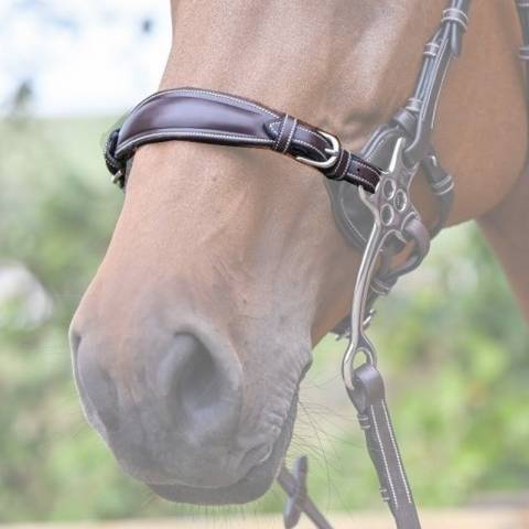 Nez de hackamore cuir - Jump'in