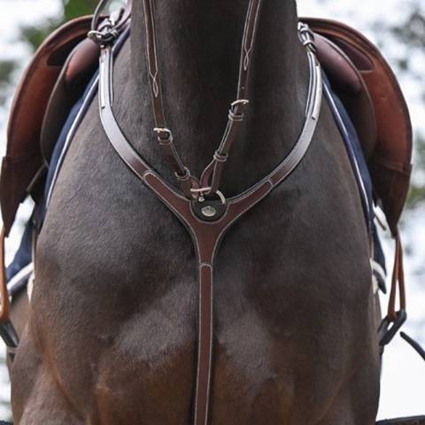 Collier de chasse Clincher et martingale - Collection One Premium - Jump in