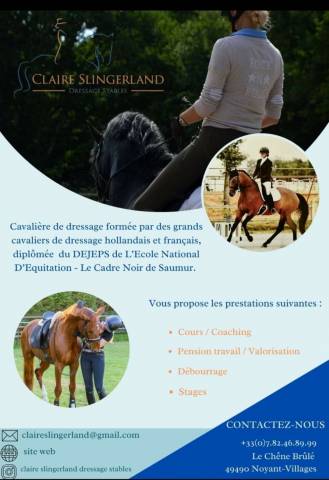 Pension chevaux - Claire Slingerland dressage stables (49)