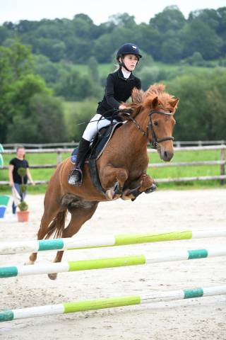 Poney de sport 12 ans