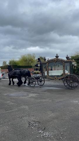 A vendre  corbillard  hippomobile 