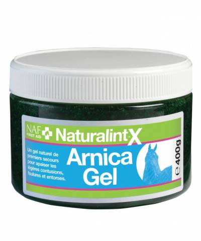 Arnica gel 400g Naturalintx NAF