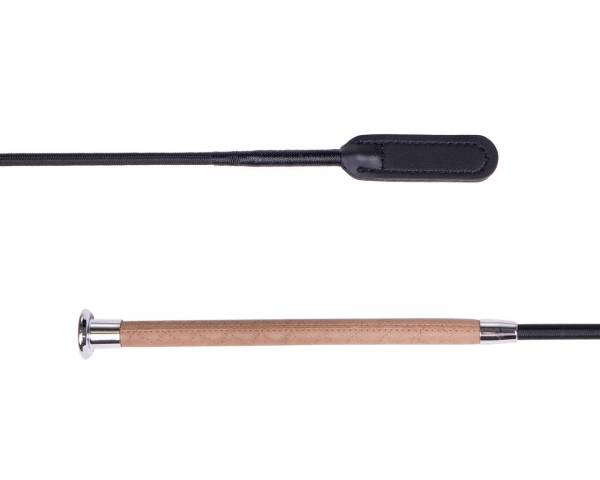 Stick dressage steady QHP