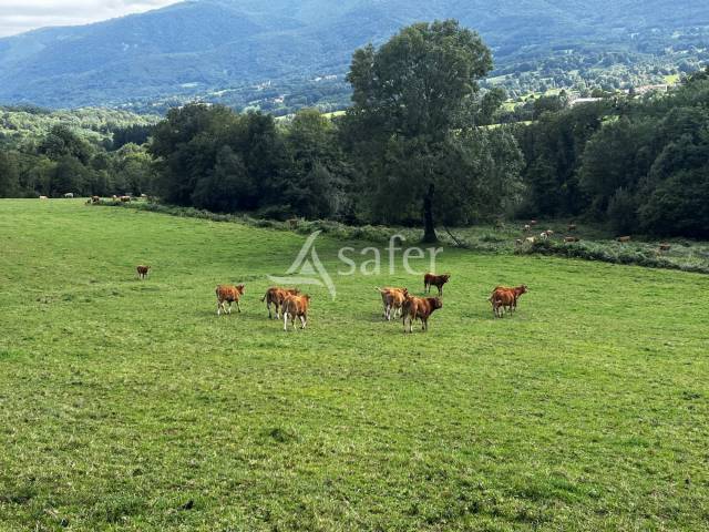 Propriété d'élevage sur 56 hectares