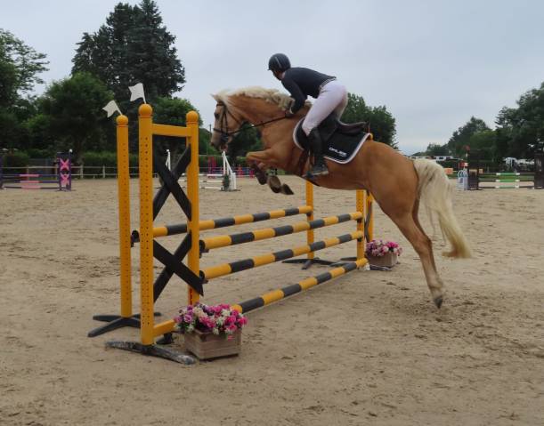 Ponette pfs 6 ans 