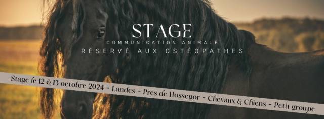 Stage Communication animale Landes pour ostéopathes