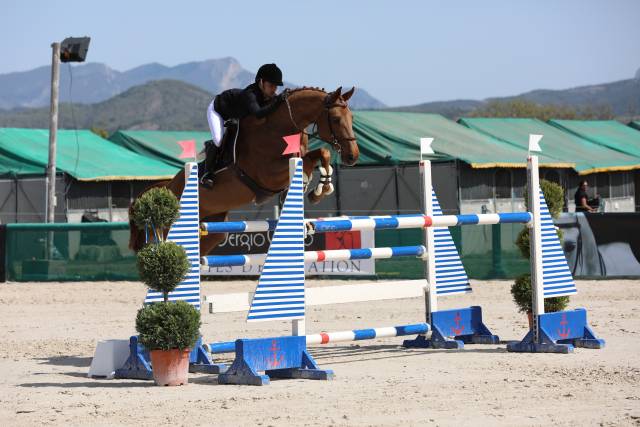 Jument de 11 ans idéale amateur 1 / élite 