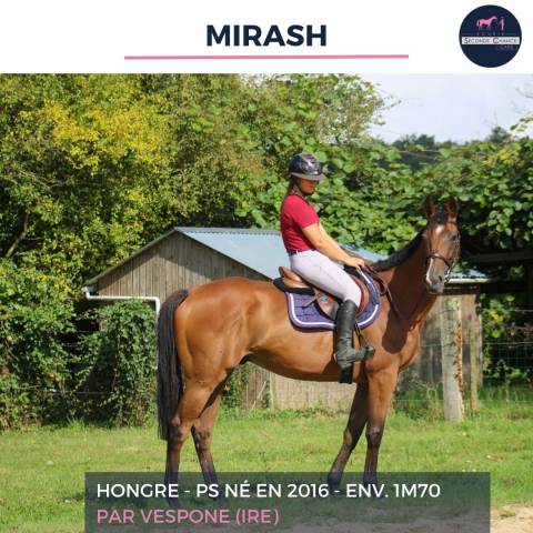 MAGNIFIQUE HONGRE PS BAI - MIRASH - 8 ANS 