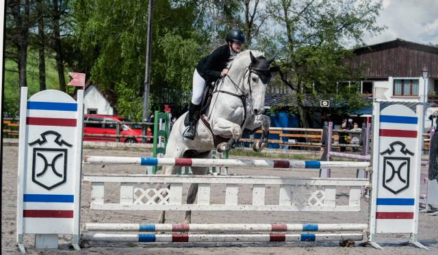 Bebop Frivol performant jusqu en amateur 1